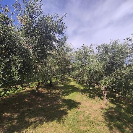 Apartman Villa Romana Grožnjan Eksteriør bilde