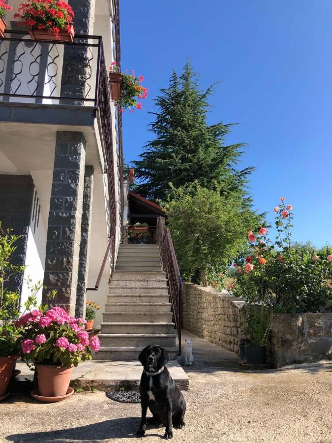 Apartman Villa Romana Grožnjan Eksteriør bilde